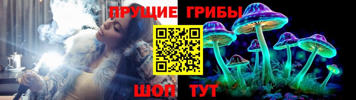 Галлюциногенные грибы Magic Shrooms  Вход с VPN  Новошахтинск 